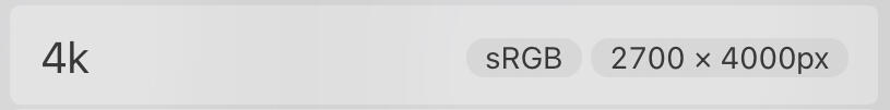 4K 2700 x 4000 pixel canvas